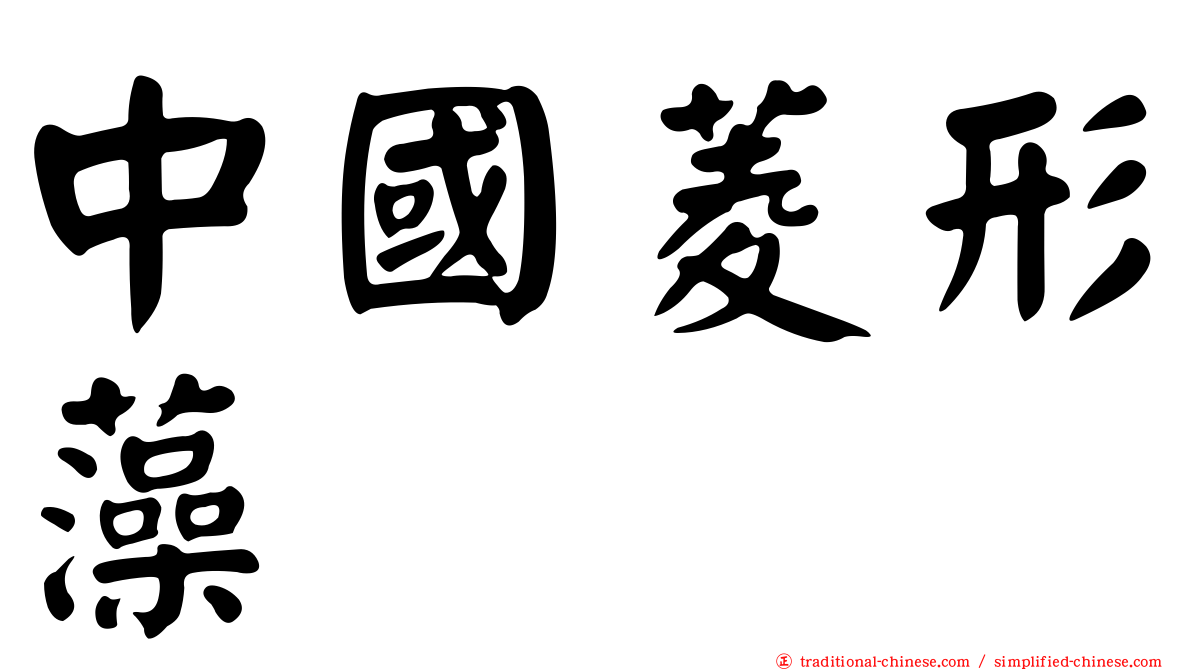 中國菱形藻