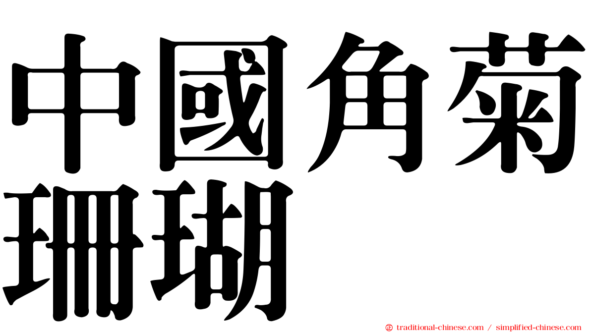 中國角菊珊瑚