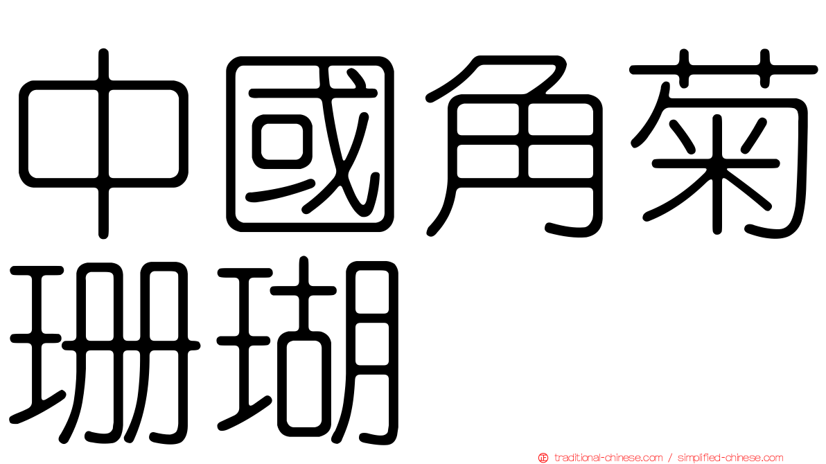中國角菊珊瑚