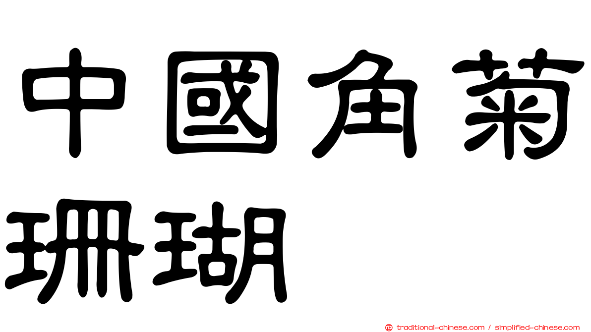中國角菊珊瑚