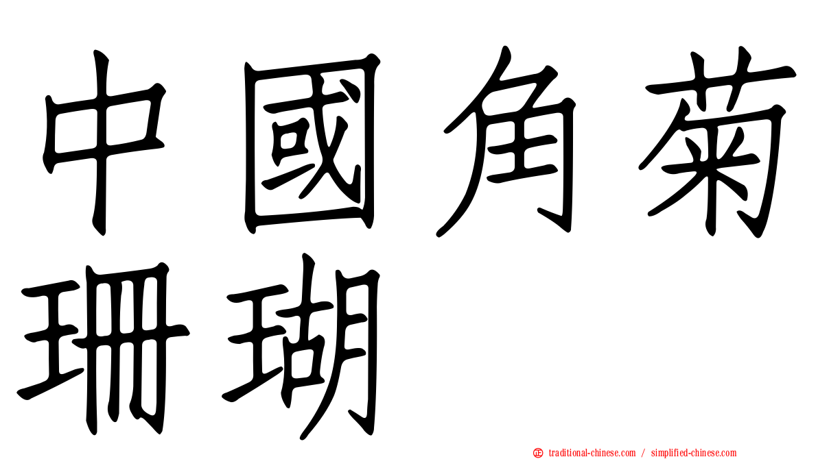 中國角菊珊瑚