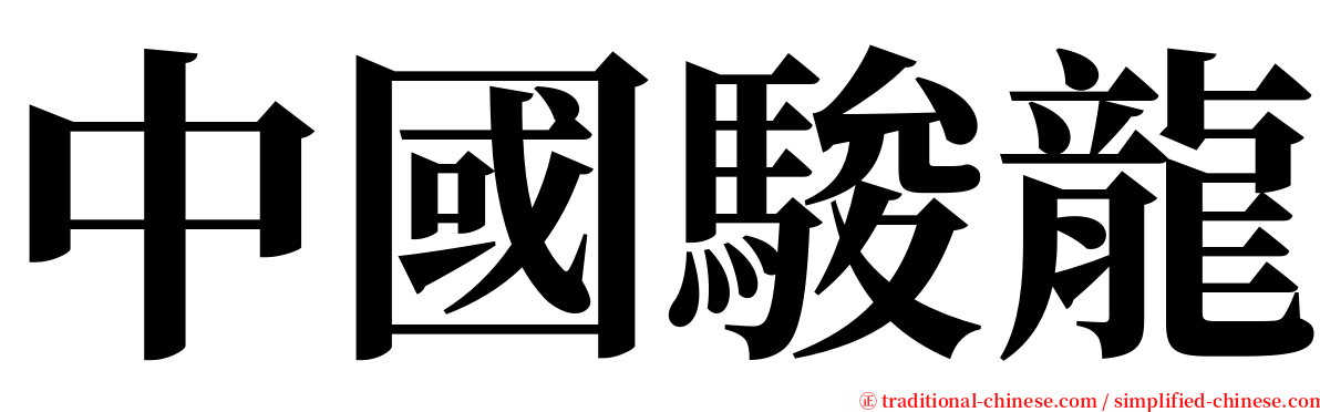 中國駿龍 serif font