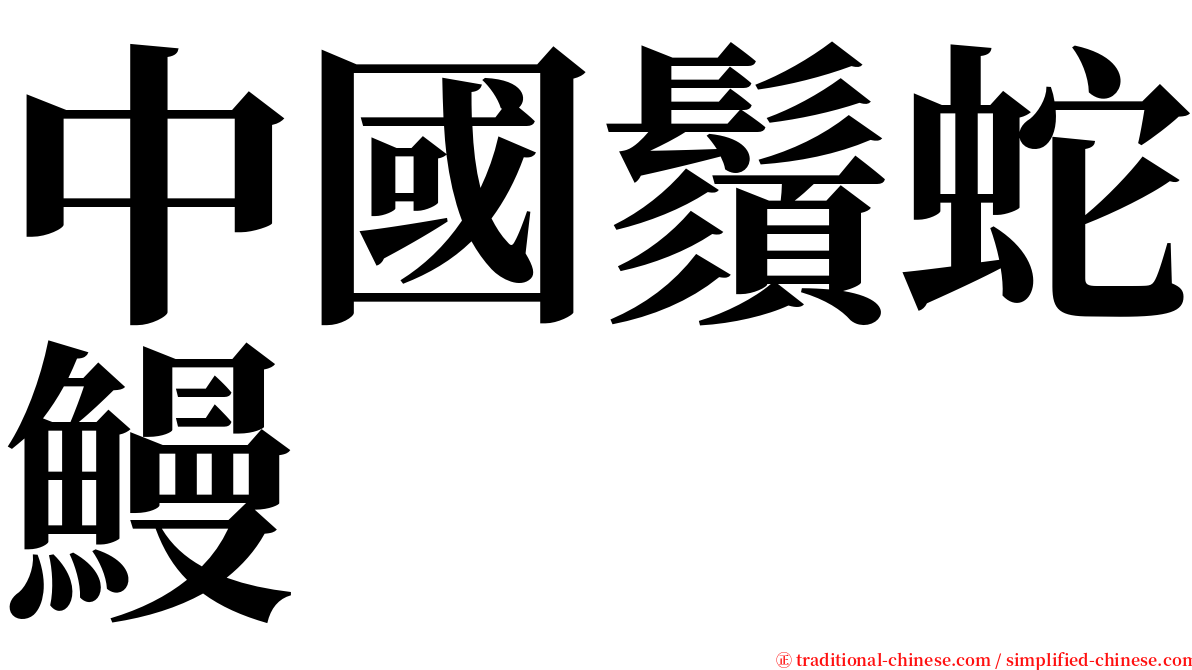 中國鬚蛇鰻 serif font