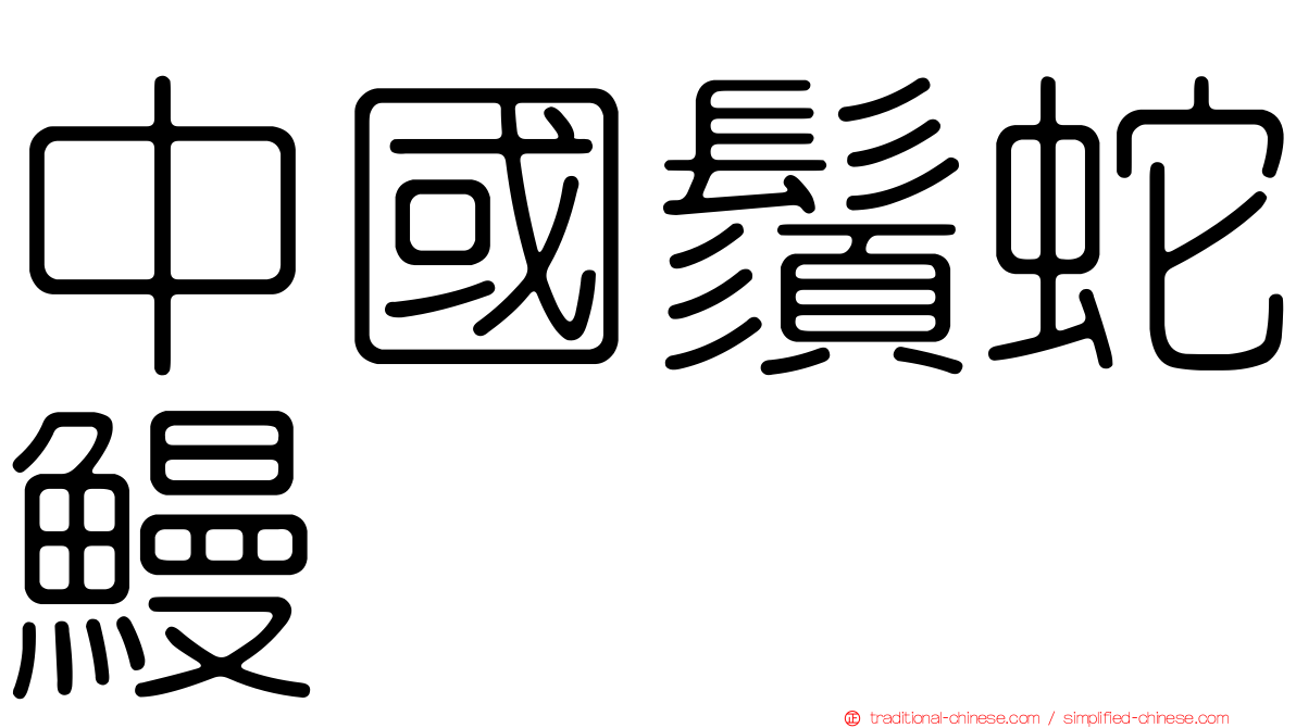 中國鬚蛇鰻