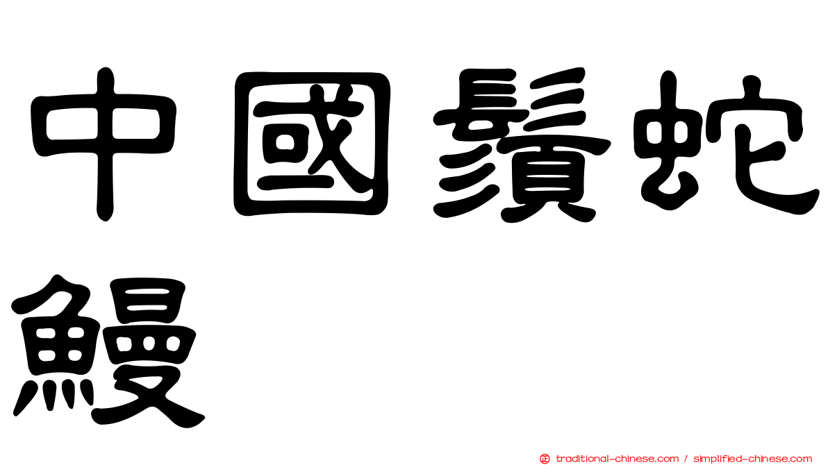 中國鬚蛇鰻