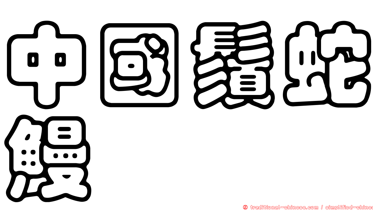 中國鬚蛇鰻