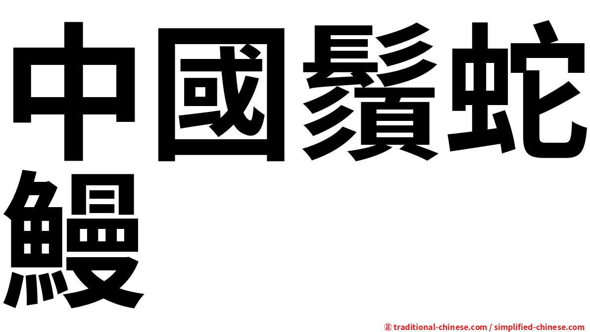 中國鬚蛇鰻