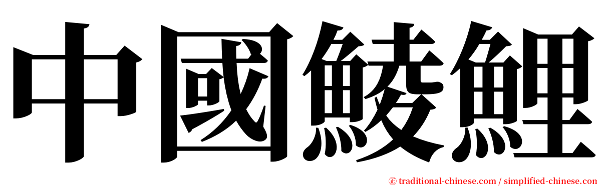 中國鯪鯉 serif font