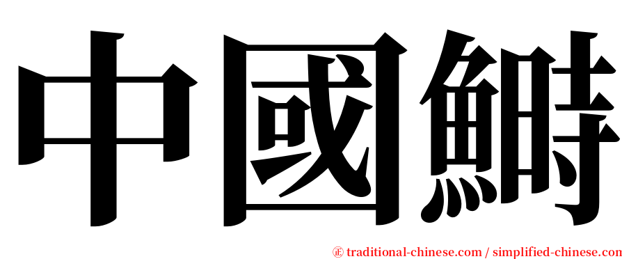 中國鰣 serif font