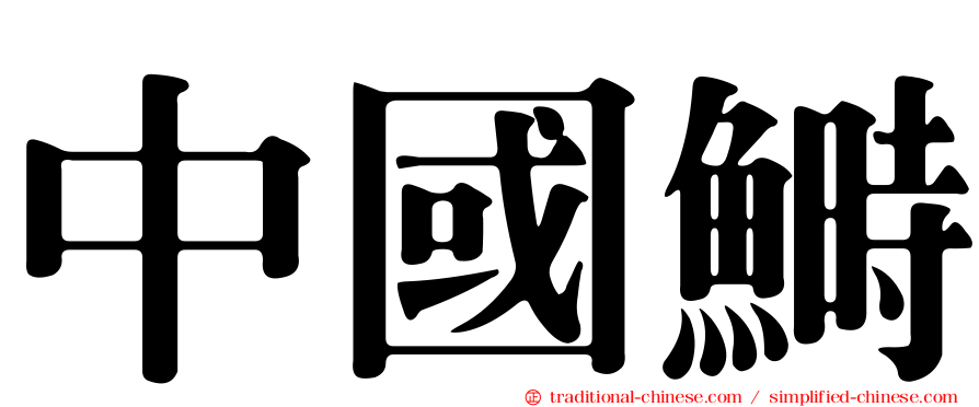中國鰣