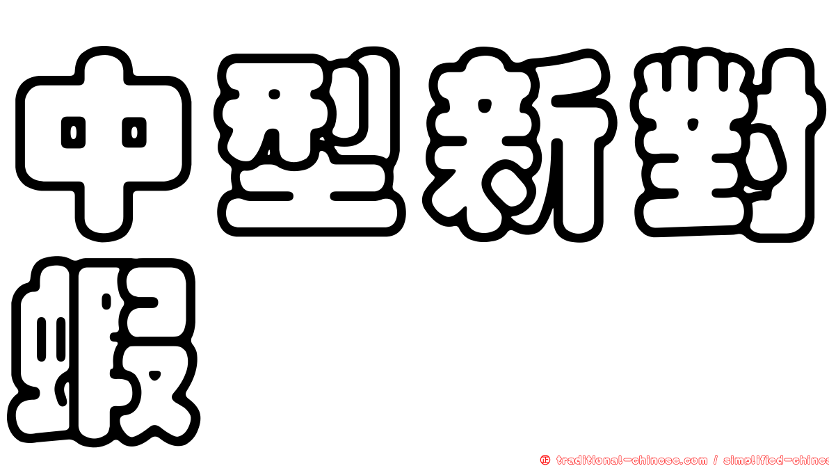中型新對蝦