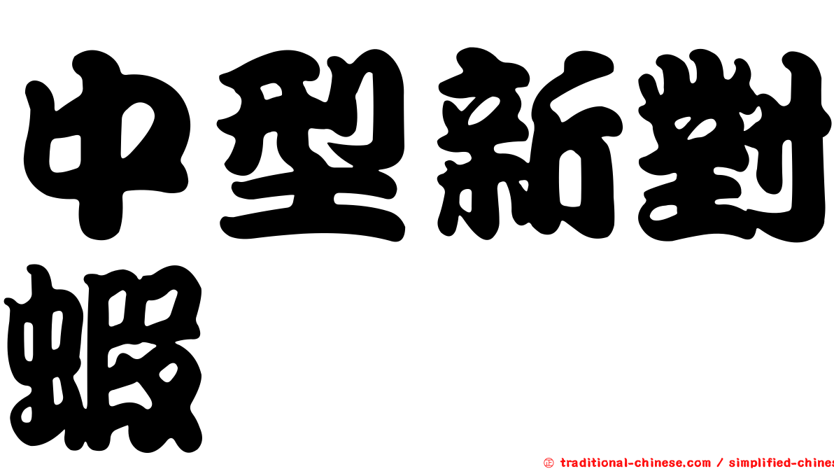 中型新對蝦