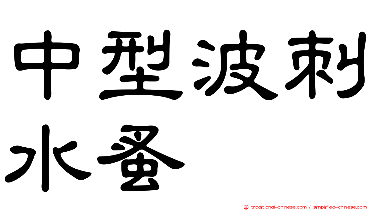 中型波刺水蚤