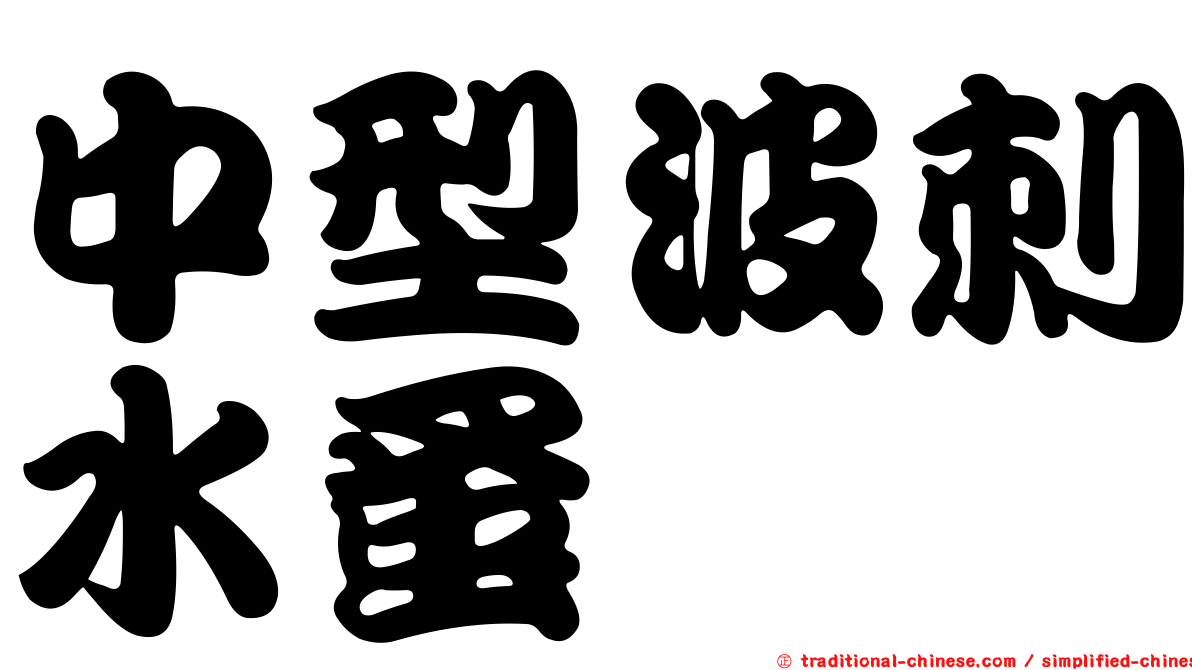 中型波刺水蚤