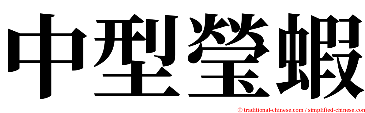 中型瑩蝦 serif font