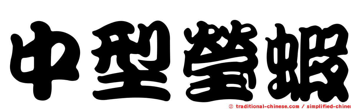 中型瑩蝦