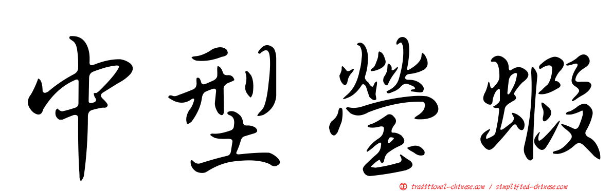 中型瑩蝦