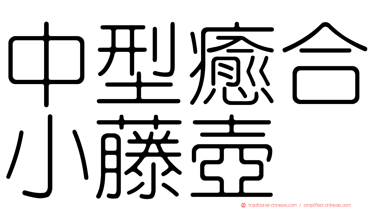 中型癒合小藤壺