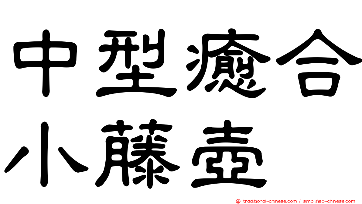 中型癒合小藤壺