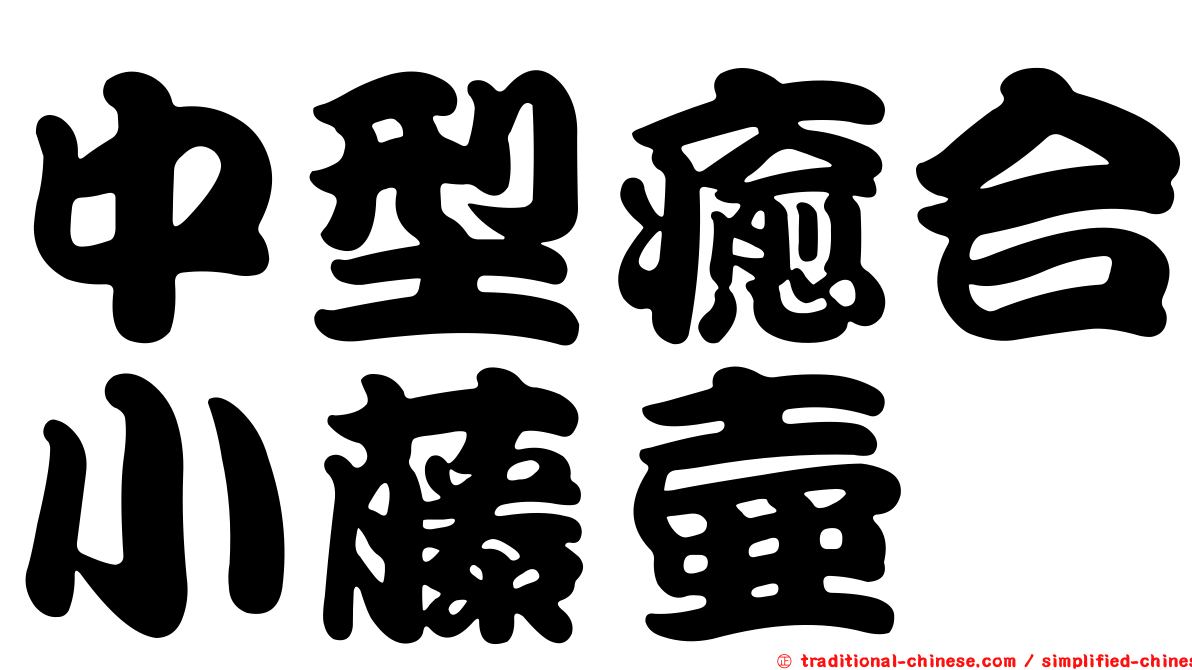 中型癒合小藤壺