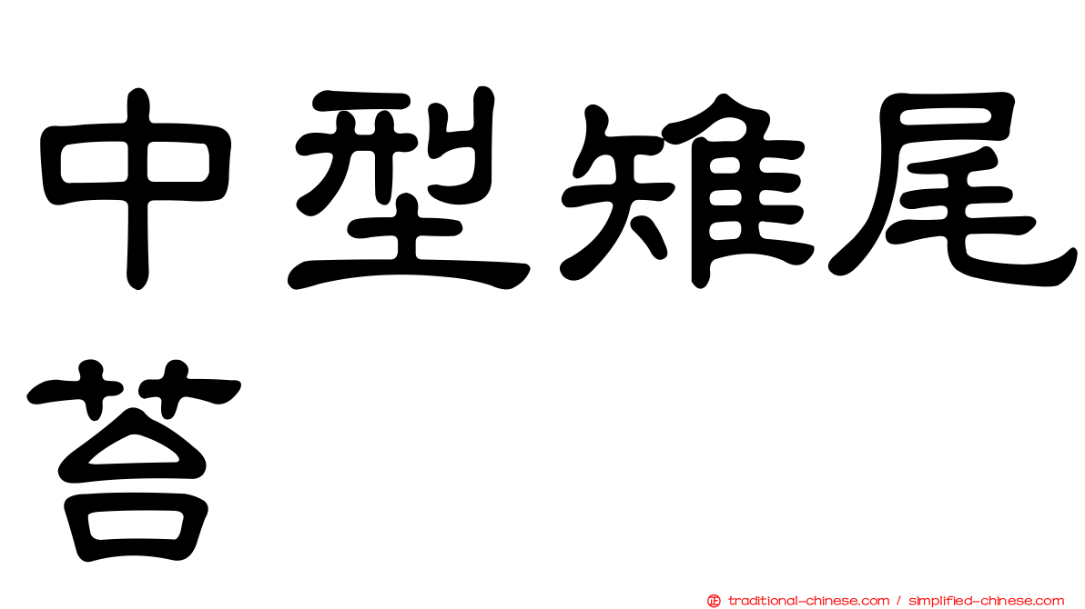 中型雉尾苔