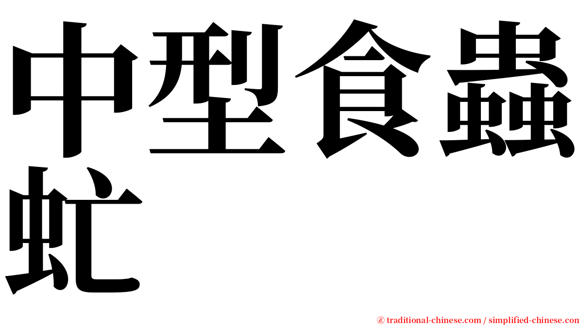 中型食蟲虻 serif font