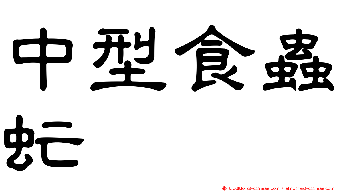 中型食蟲虻