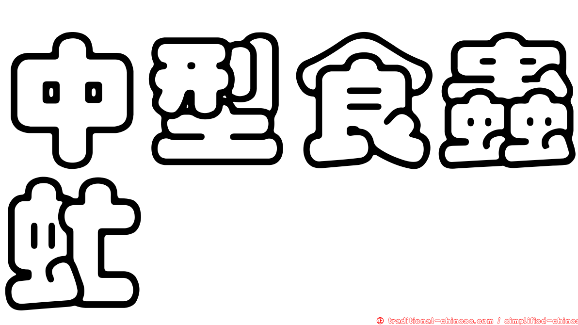 中型食蟲虻