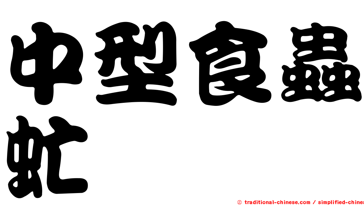 中型食蟲虻