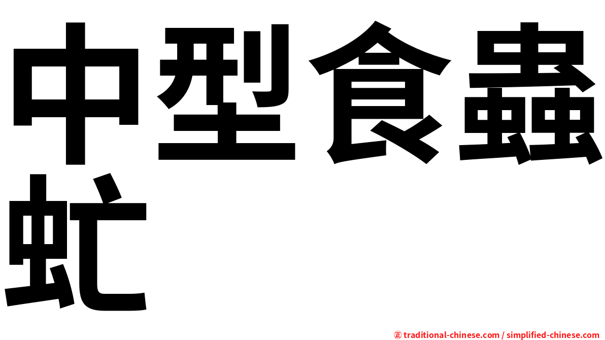 中型食蟲虻