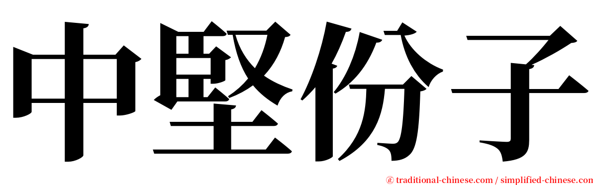 中堅份子 serif font
