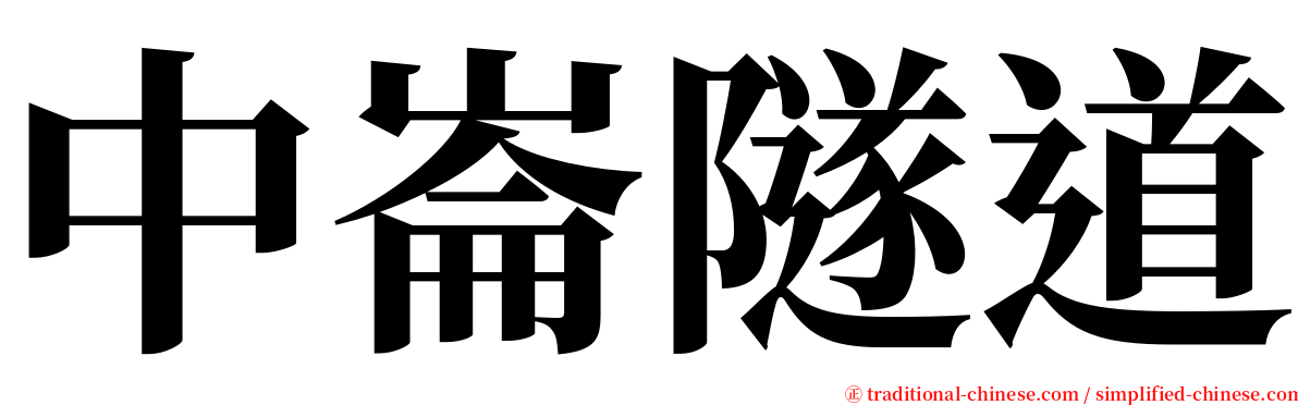 中崙隧道 serif font