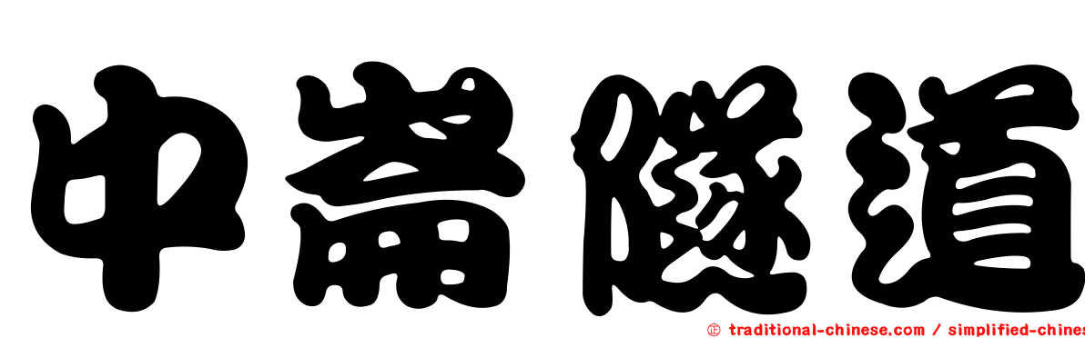 中崙隧道