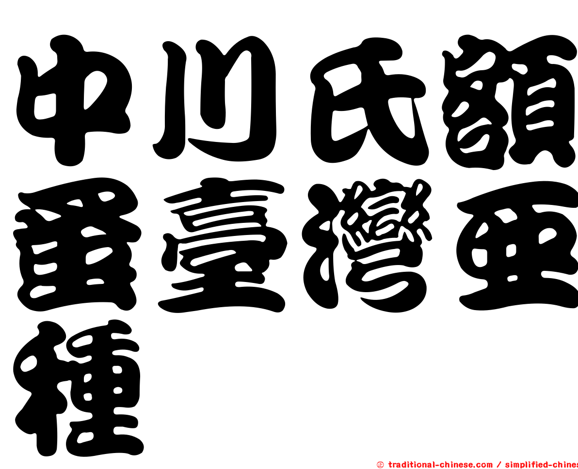 中川氏額蚤臺灣亞種