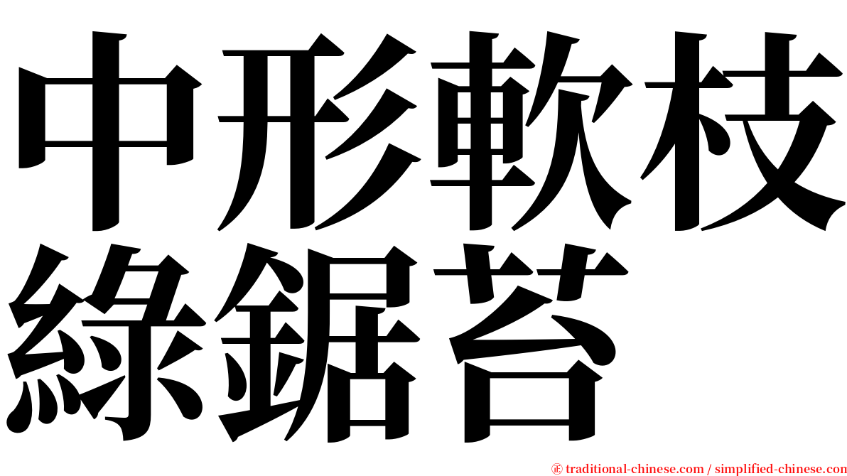 中形軟枝綠鋸苔 serif font