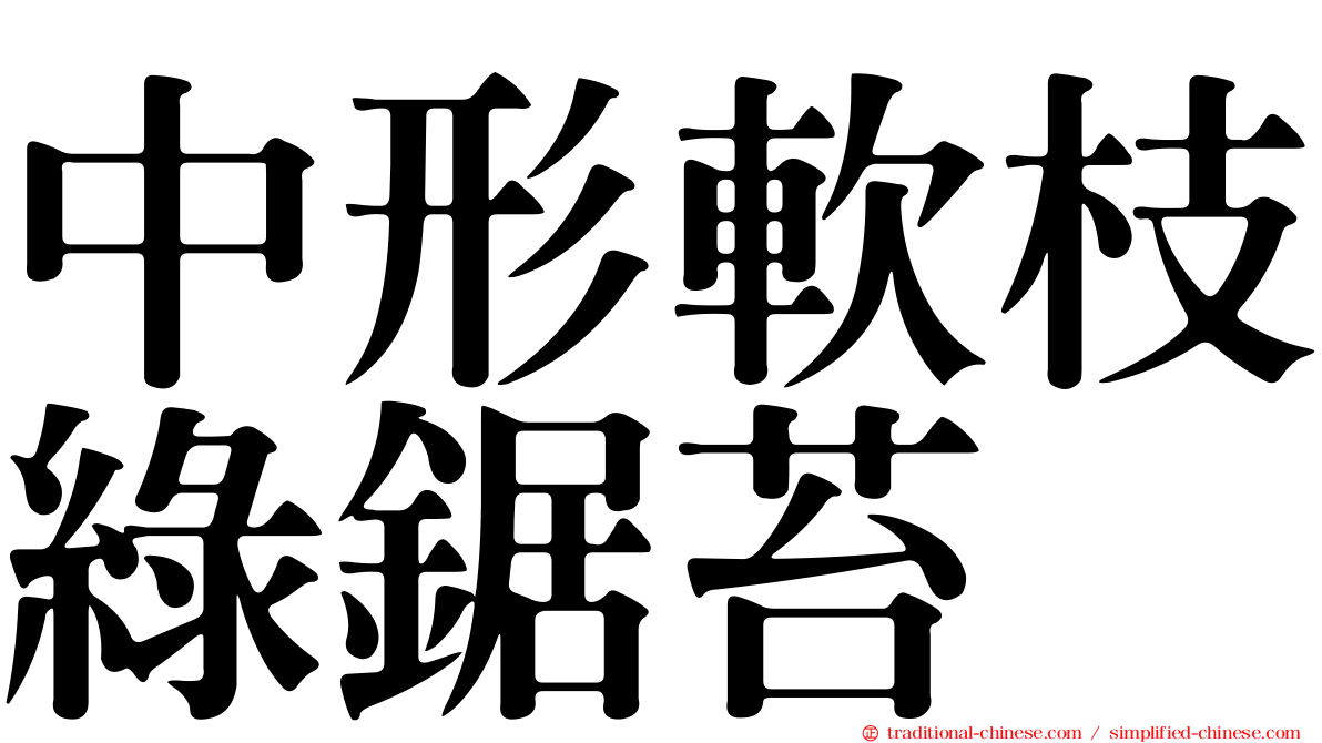中形軟枝綠鋸苔