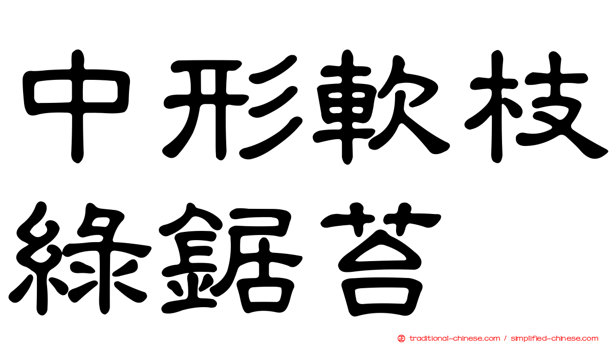 中形軟枝綠鋸苔