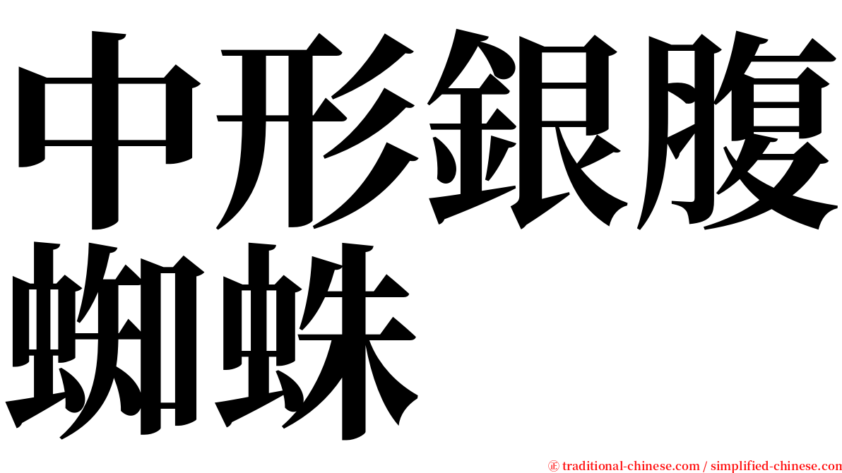 中形銀腹蜘蛛 serif font