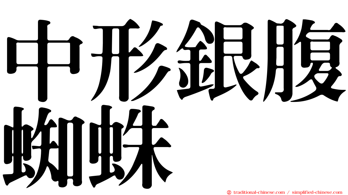 中形銀腹蜘蛛