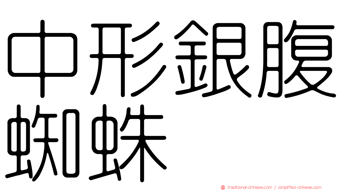 中形銀腹蜘蛛