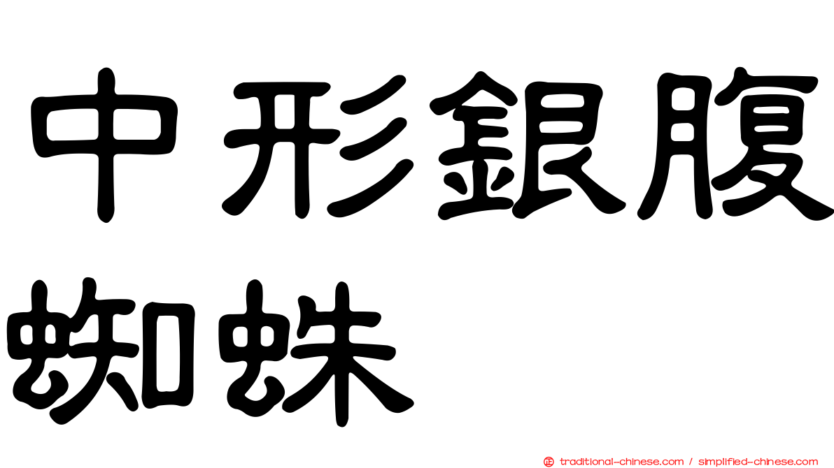 中形銀腹蜘蛛