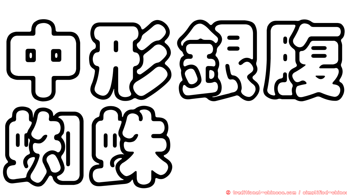 中形銀腹蜘蛛