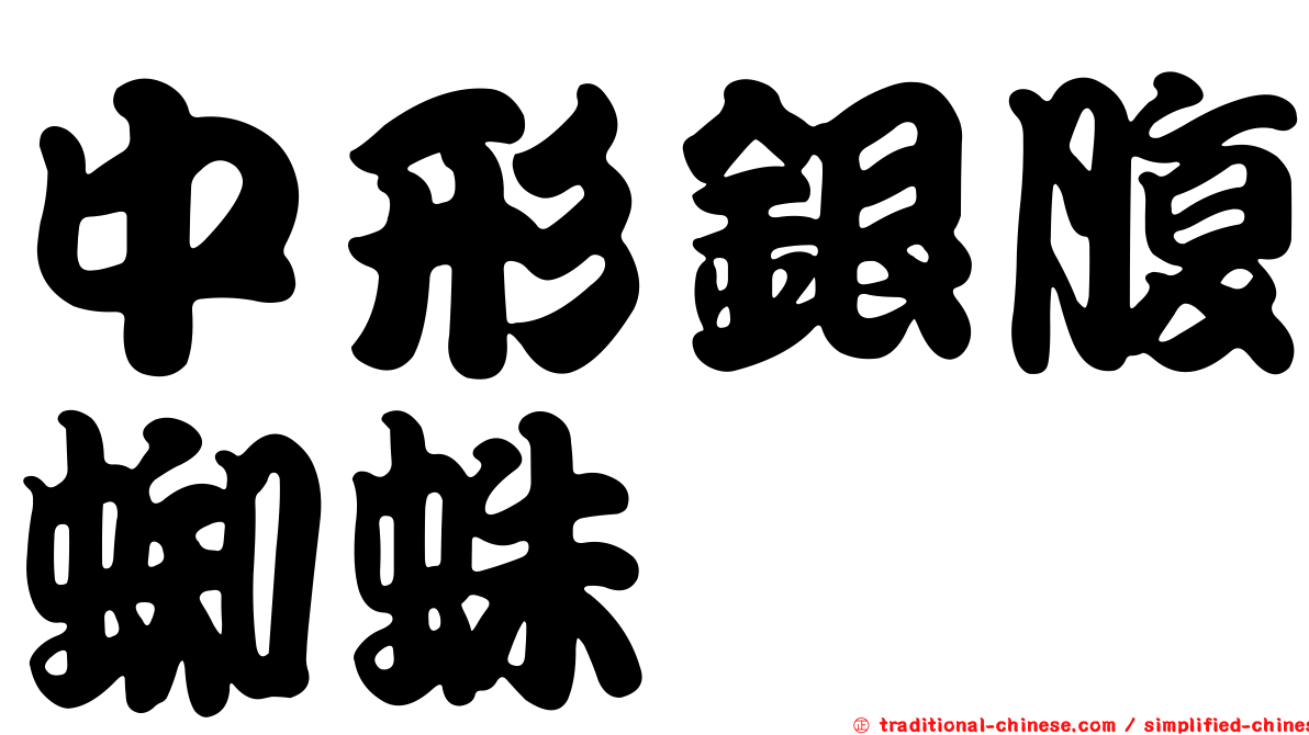 中形銀腹蜘蛛