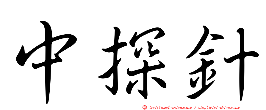 中探針