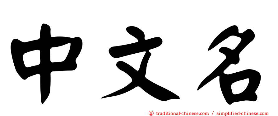 中文名