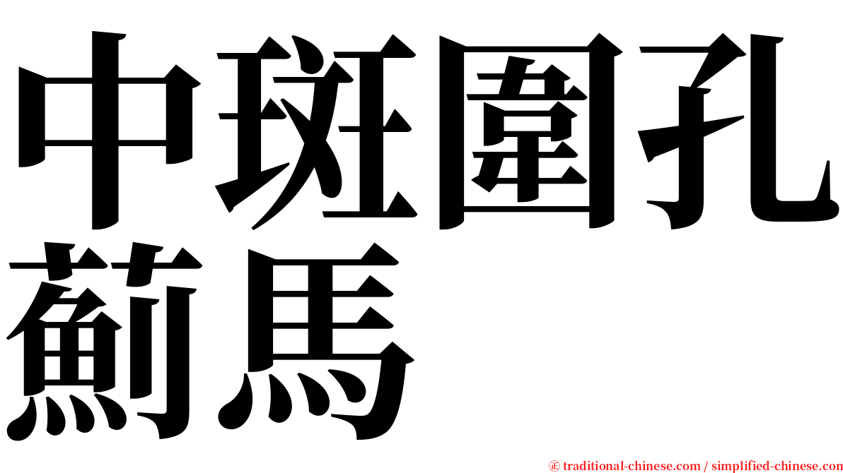 中斑圍孔薊馬 serif font