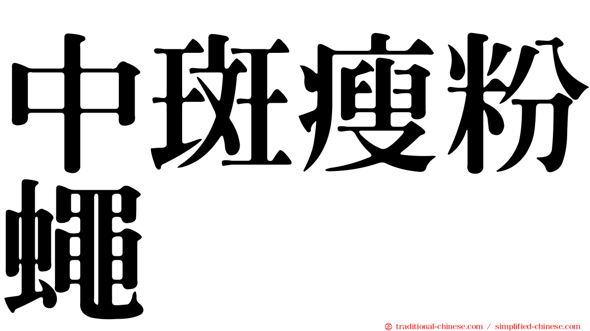 中斑瘦粉蠅