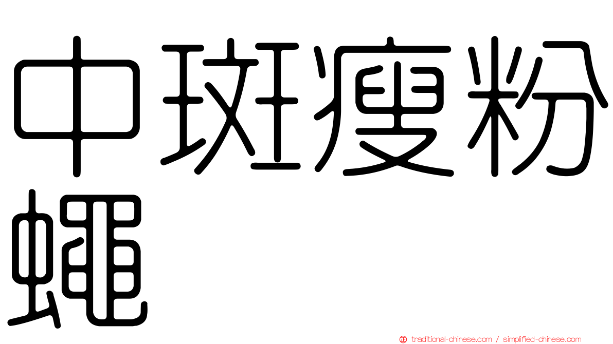 中斑瘦粉蠅