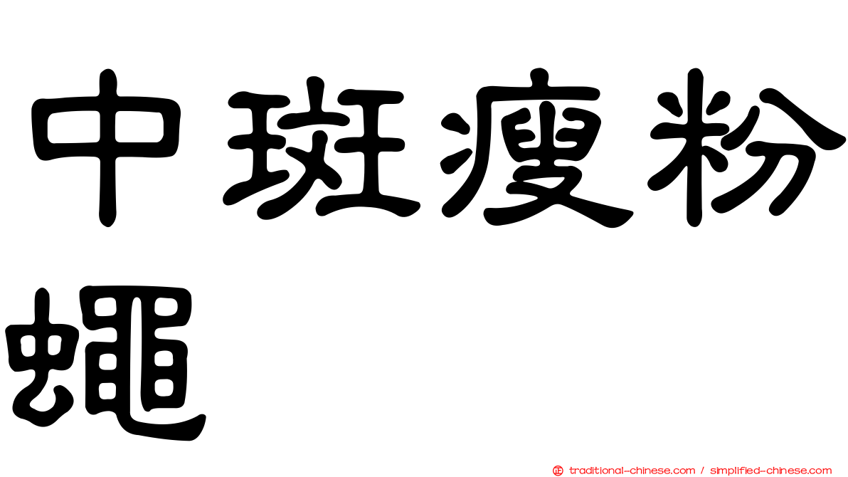 中斑瘦粉蠅
