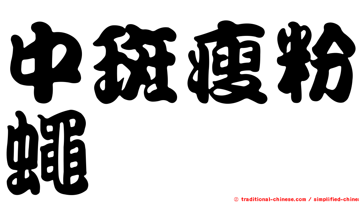 中斑瘦粉蠅